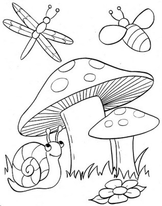 Coloriage Sur La Foret