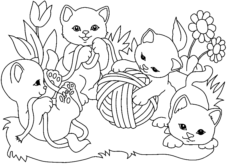 Coloriage D Animaux Mignon