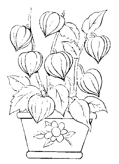 Fleurs d\u0027automne